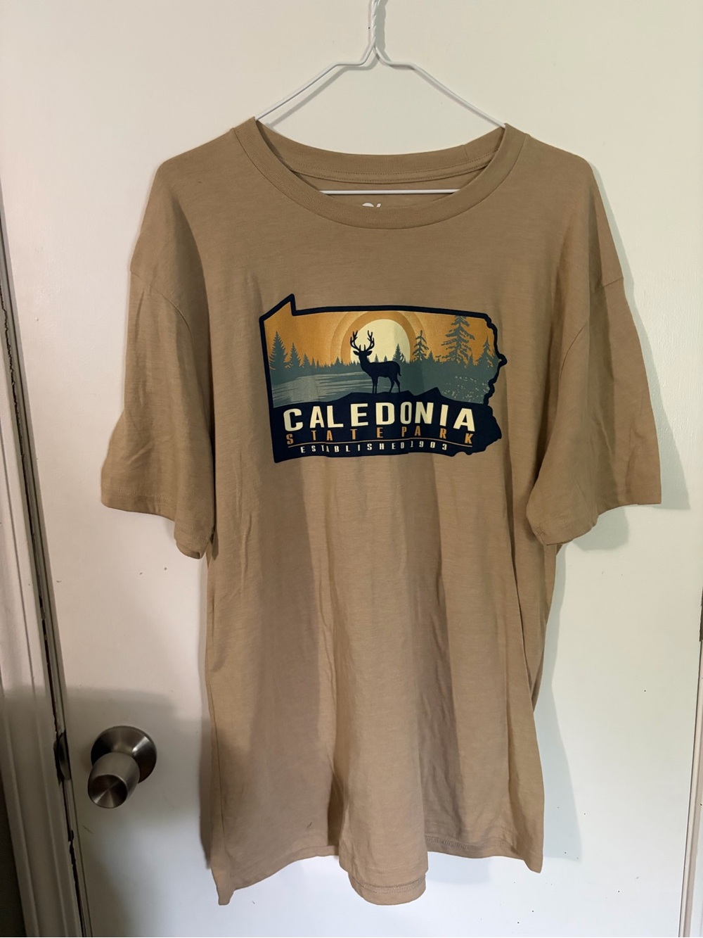 NWOT Blue 84 Large Caledonia State Park Graphic Tee Tan Tote14